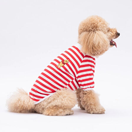 Pawstar Kırmızı Winnie Küçük Irk Köpek Sweatshirtü