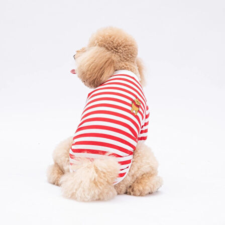 Pawstar Kırmızı Winnie Küçük Irk Köpek Sweatshirtü