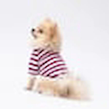 Pawstar Piglet Küçük Irk Köpek Sweatshirtü