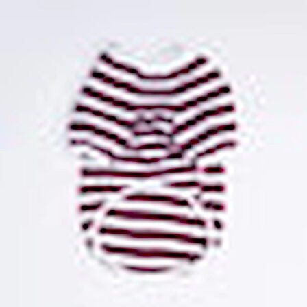 Pawstar Piglet Küçük Irk Köpek Sweatshirtü