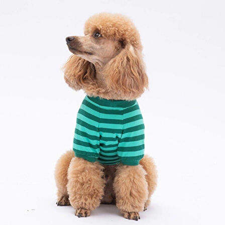 Pawstar Tigger Küçük Irk Köpek Sweatshirtü