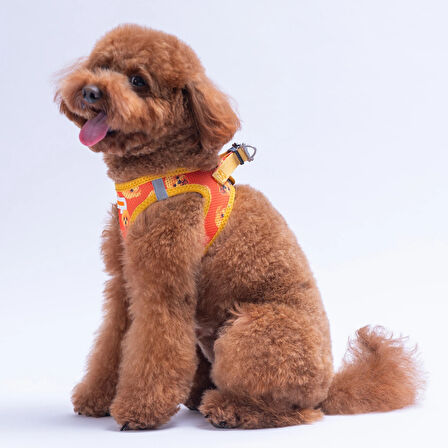 Pawstar Air-Mesh Poodle Köpek Göğüs Tasması