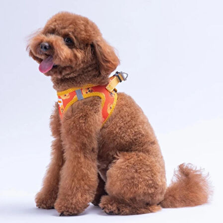 Pawstar Air-Mesh Poodle Köpek Göğüs Tasması