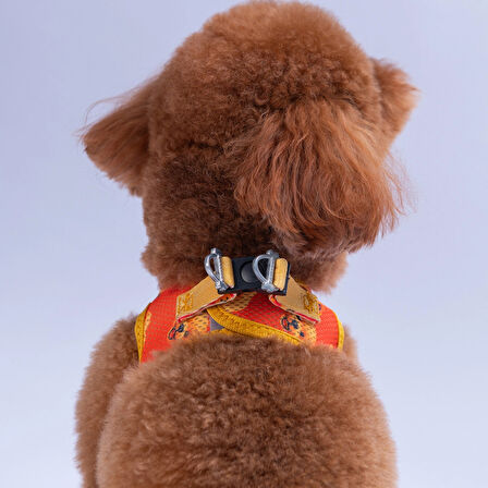 Pawstar Air-Mesh Poodle Köpek Göğüs Tasması