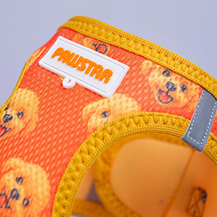 Pawstar Air-Mesh Poodle Köpek Göğüs Tasması