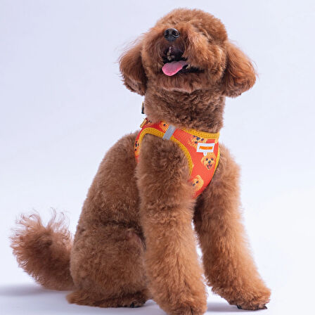 Pawstar Air-Mesh Poodle Köpek Göğüs Tasması