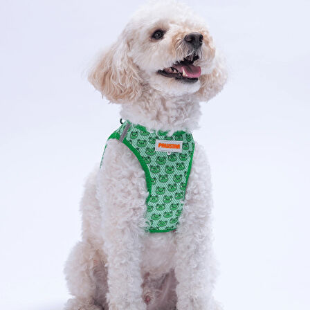 Pawstar Air-Mesh Frog Köpek Göğüs Tasması