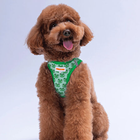 Pawstar Air-Mesh Frog Köpek Göğüs Tasması
