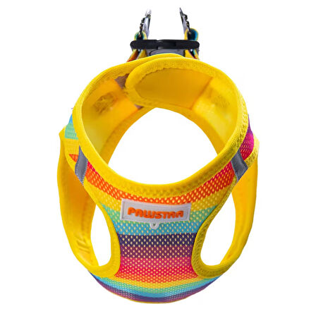 Pawstar Air-Mesh Rainbow Köpek Göğüs Tasması