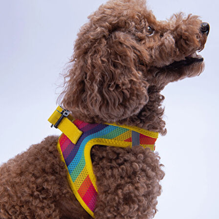 Pawstar Air-Mesh Rainbow Köpek Göğüs Tasması