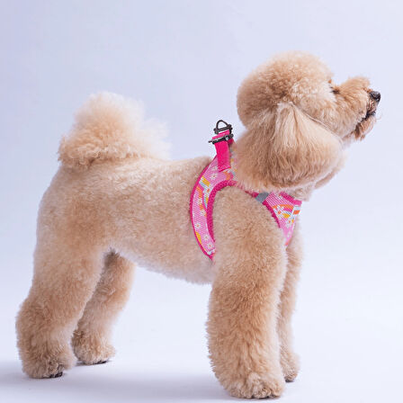 Pawstar Air-Mesh Daisy Köpek Göğüs Tasması