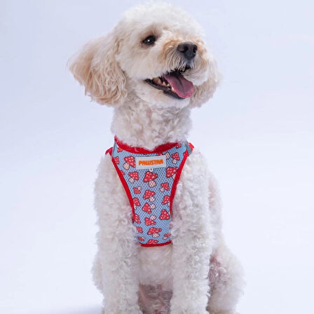 Pawstar Air-Mesh Mushroom Köpek Göğüs Tasması