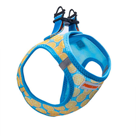 Pawstar Air-Mesh Citrus Köpek Göğüs Tasması