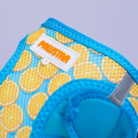 Pawstar Air-Mesh Citrus Köpek Göğüs Tasması