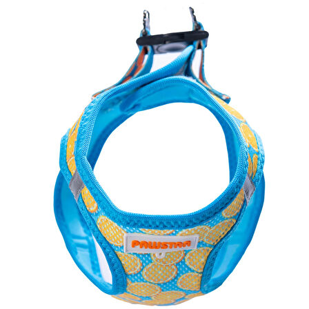 Pawstar Air-Mesh Citrus Köpek Göğüs Tasması