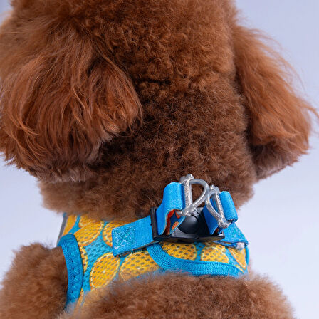 Pawstar Air-Mesh Citrus Köpek Göğüs Tasması