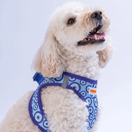 Pawstar Air-Mesh Charm Köpek Göğüs Tasması