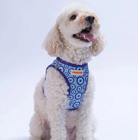 Pawstar Air-Mesh Charm Köpek Göğüs Tasması