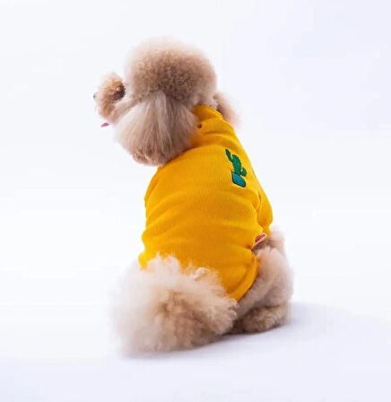 Pawstar Sarı Cactus Nakışlı Esnek Küçük Irk Köpek Likralı Triko