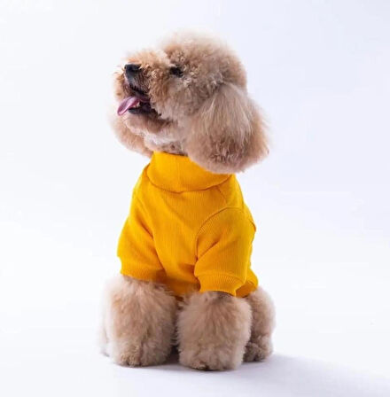 Pawstar Sarı Cactus Nakışlı Esnek Küçük Irk Köpek Likralı Triko