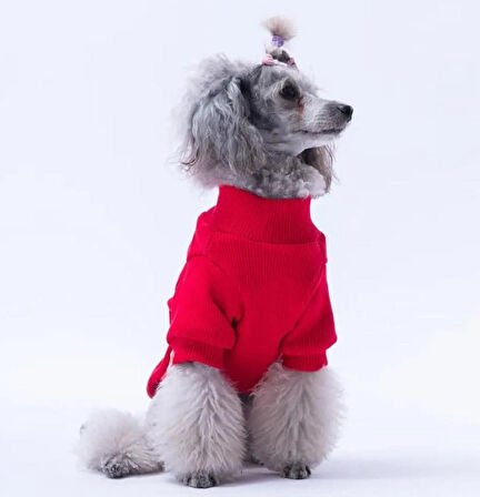 Pawstar Kırmızı Wow Nakışlı Esnek Küçük Irk Köpek Likralı Triko