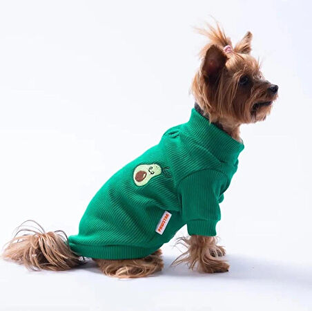 Pawstar Yeşil Avocado Nakışlı Esnek Küçük Irk Köpek Likralı Triko