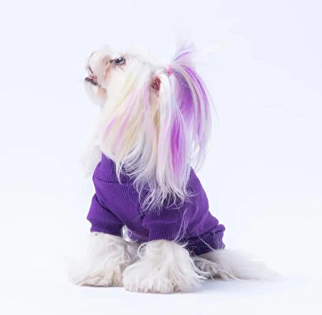 Pawstar Mor Ice Cream Nakışlı Esnek Küçük Irk Köpek Likralı Triko