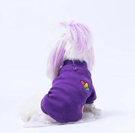 Pawstar Mor Ice Cream Nakışlı Esnek Küçük Irk Köpek Likralı Triko