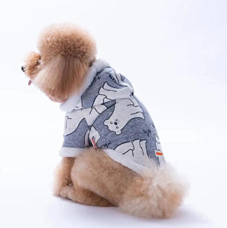 Pawstar Barrow Frost Küçük Irk Köpek Ceketi