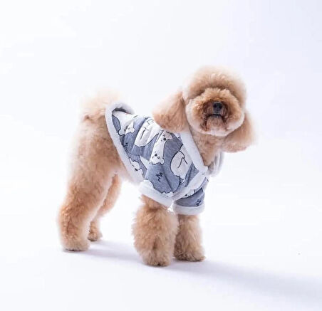 Pawstar Barrow Frost Küçük Irk Köpek Ceketi