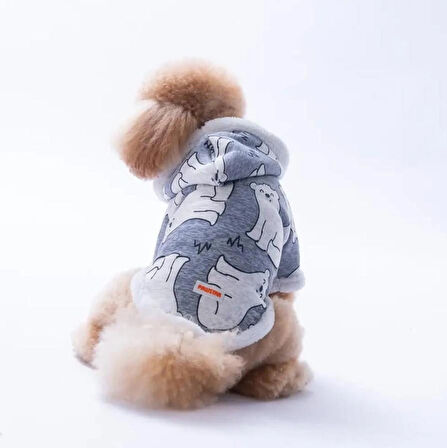 Pawstar Barrow Frost Küçük Irk Köpek Ceketi