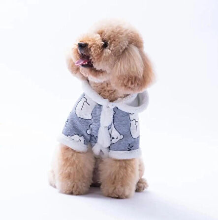 Pawstar Barrow Frost Küçük Irk Köpek Ceketi