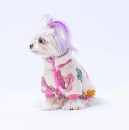 Pawstar Aspen Petals Küçük Irk Köpek Pofuduk Ceketi