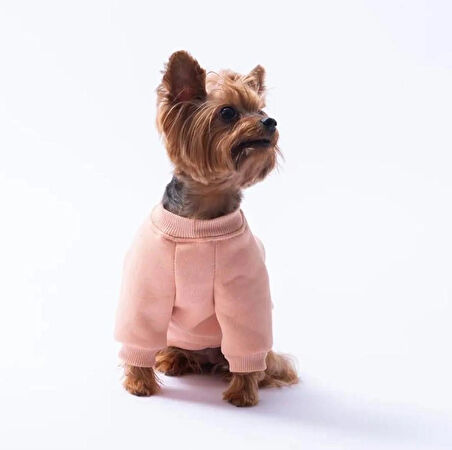 Pawstar Pembe Dublin Hopper Polarlı Küçük Irk Köpek Sweatshirtü