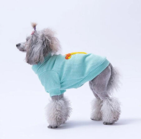 Pawstar Mint Pooh's Ashdown Tigger Küçük Irk Köpek Kazağı