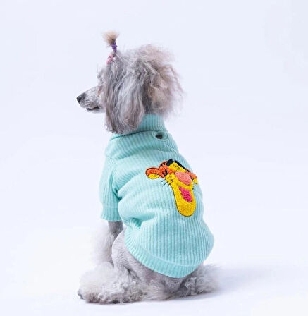 Pawstar Mint Pooh's Ashdown Tigger Küçük Irk Köpek Kazağı