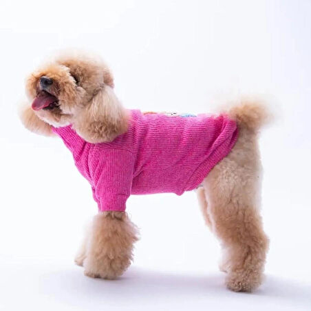 Pawstar Fuşya Pooh's Ashdown Piglet Küçük Irk Köpek Kazağı