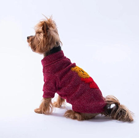 Pawstar Bordo Pooh's Ashdown Winnie Küçük Irk Köpek Kazağı
