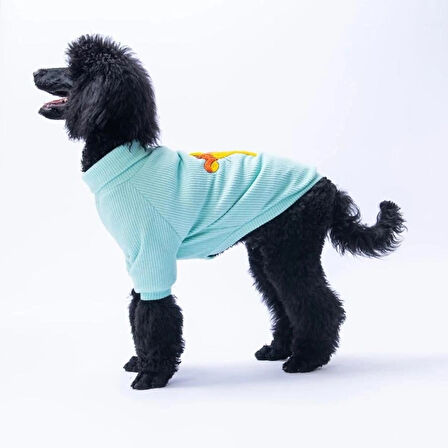 Pawstar Mint Pooh's Ashdown Tigger Orta ve Büyük Irk Köpek Kazağı