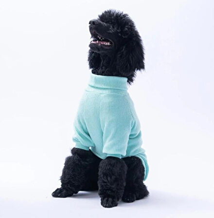 Pawstar Mint Pooh's Ashdown Tigger Orta ve Büyük Irk Köpek Kazağı