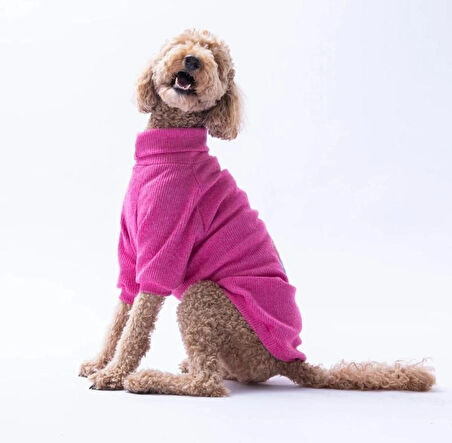 Pawstar Fuşya Pooh's Ashdown Piglet Orta ve Büyük Irk Köpek Kazağı