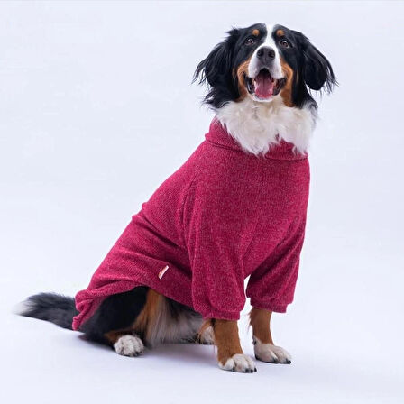 Pawstar Bordo Pooh's Ashdown Winnie Orta ve Büyük Irk Köpek Kazağı