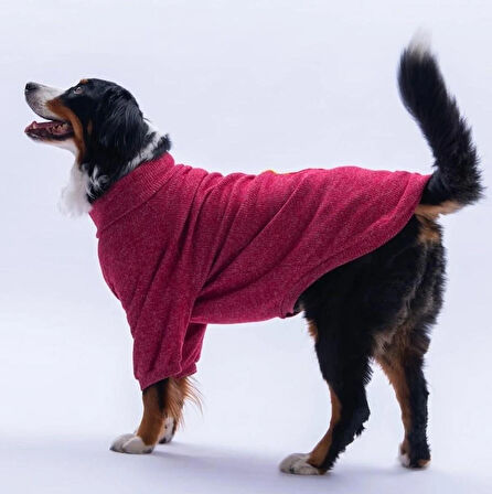 Pawstar Bordo Pooh's Ashdown Winnie Orta ve Büyük Irk Köpek Kazağı