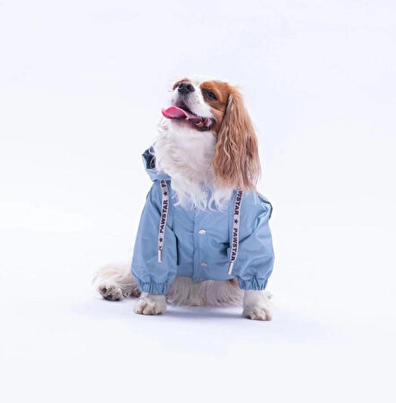 Pawstar Gri Pluvia v25 Polarlı Su Geçirmez Küçük Irk Köpek Yağmurluğu
