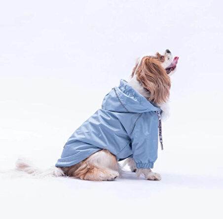 Pawstar Gri Pluvia v25 Polarlı Su Geçirmez Küçük Irk Köpek Yağmurluğu