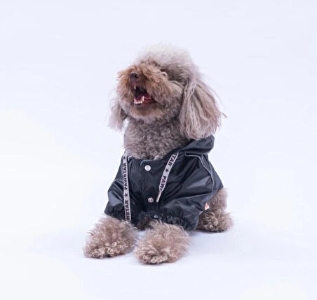 Pawstar Siyah Pluvia v25 Polarlı Su Geçirmez Küçük Irk Köpek Yağmurluğu
