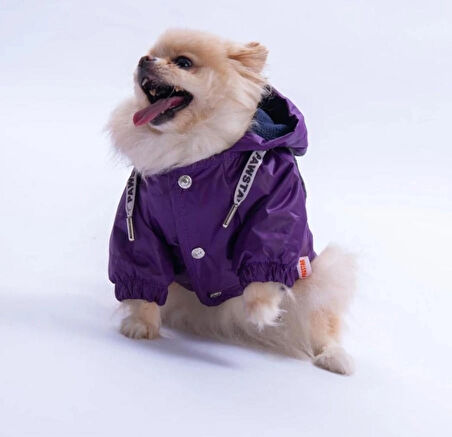 Pawstar Mor Pluvia v25 Polarlı Su Geçirmez Küçük Irk Köpek Yağmurluğu