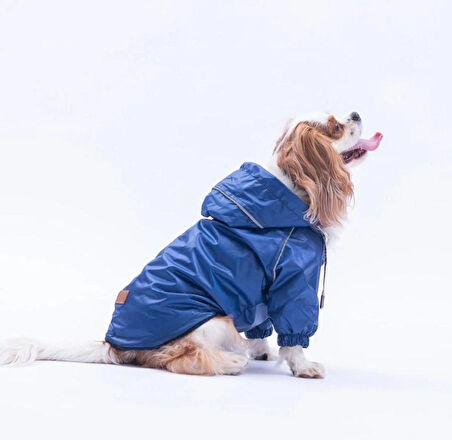 Pawstar Lacivert Pluvia v25 Polarlı Su Geçirmez Küçük Irk Köpek Yağmurluğu