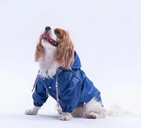 Pawstar Lacivert Pluvia v25 Polarlı Su Geçirmez Küçük Irk Köpek Yağmurluğu