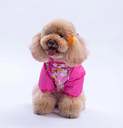Pawstar Florence Daisy Polarlı Su Geçirmez Küçük Irk Köpek Yağmurluğu